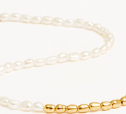 BY YOUR SIDE PEARL CHOKER - GOLD